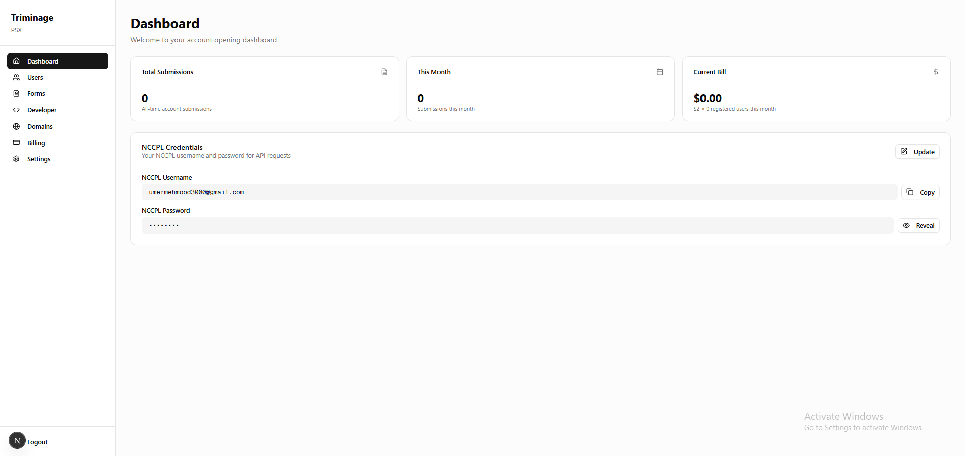 Dashboard navigation showing Domains option
