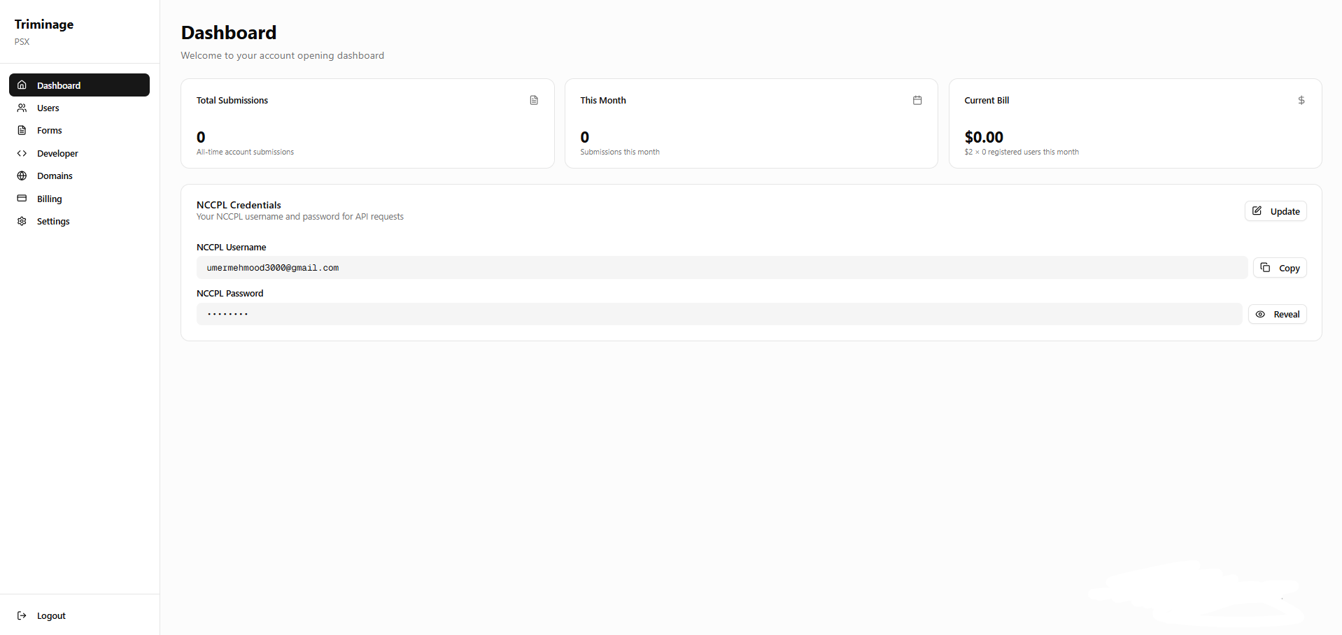 Dashboard navigation showing Domains option