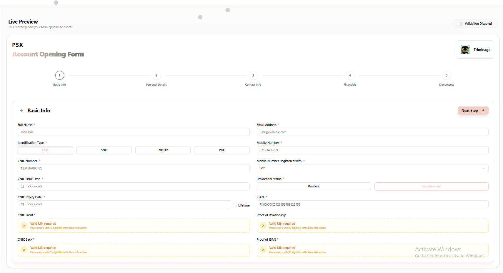 Save button and form preview with applied styling